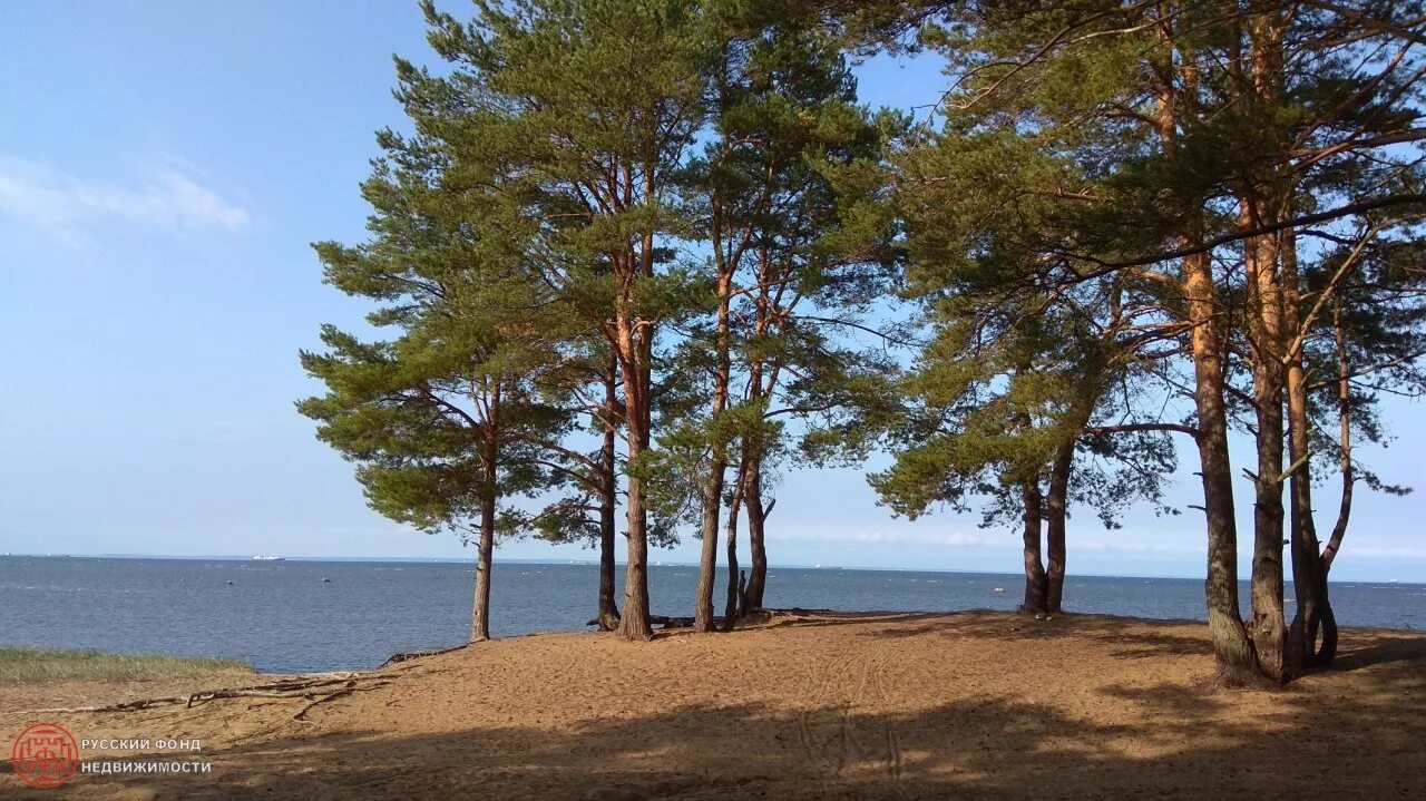 поселок лебяжье ломоносовский район. лебяжье ломоносовский район. лебяжье ломоносовский р н. лебяжье ломоносовский район инфраструктура. лебяжье ломоносовский район пляж.