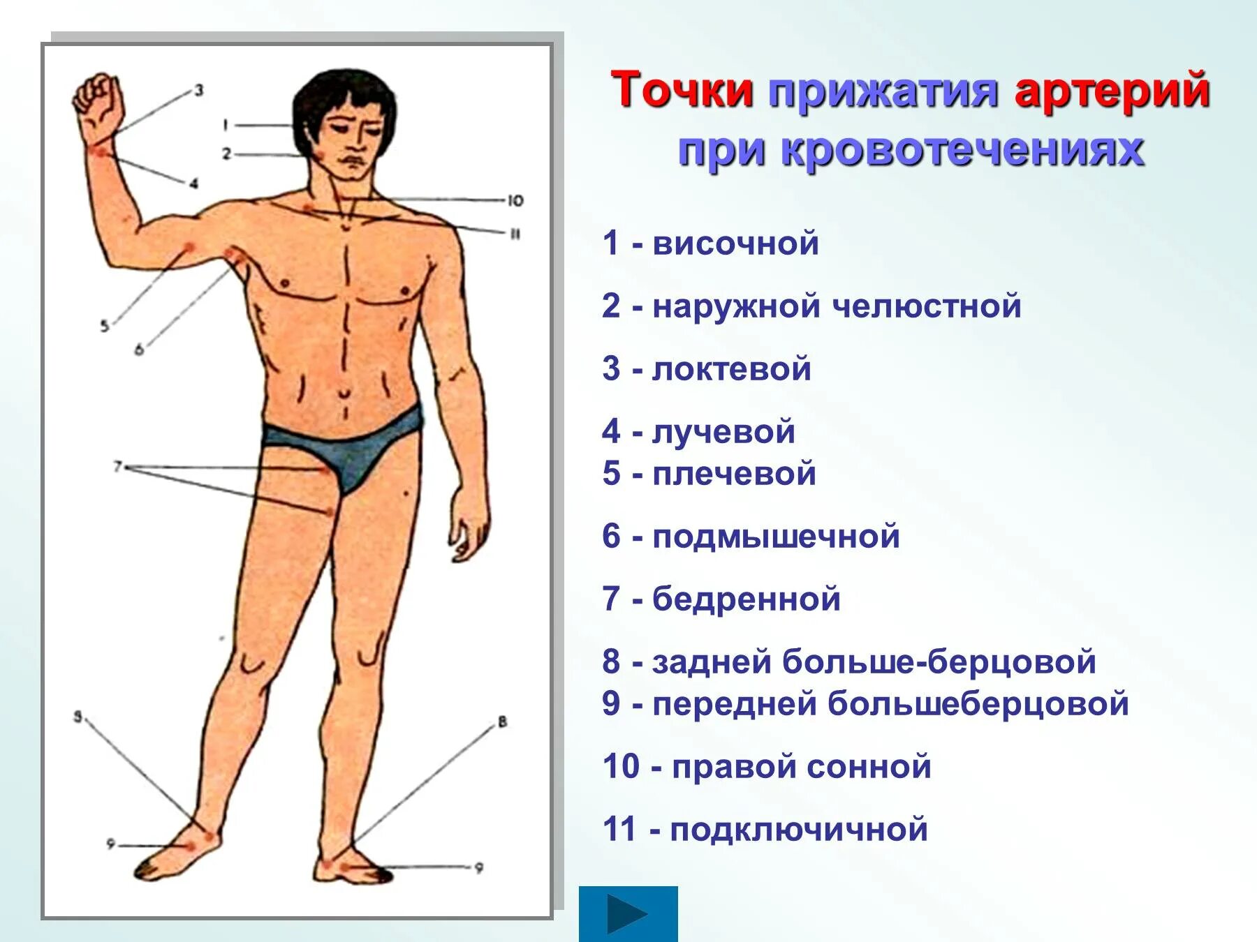 Способы остановки кровотечения пальцевое прижатие артерии. Точки пальцевого прижатия при кровотечении. Места прижатия артерий при кровотечениях. Точки пальцевого прижатия сосудов при наружном кровотечении. Точки прижатия артерий для остановки кровотечения.