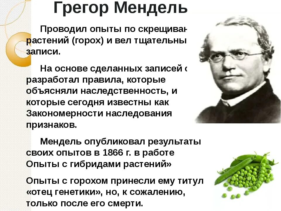 Метод исследования использованный менделем