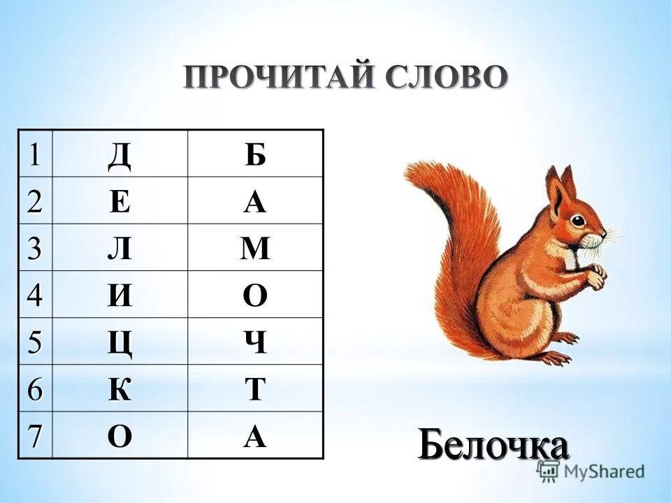 Сколько в слове белка