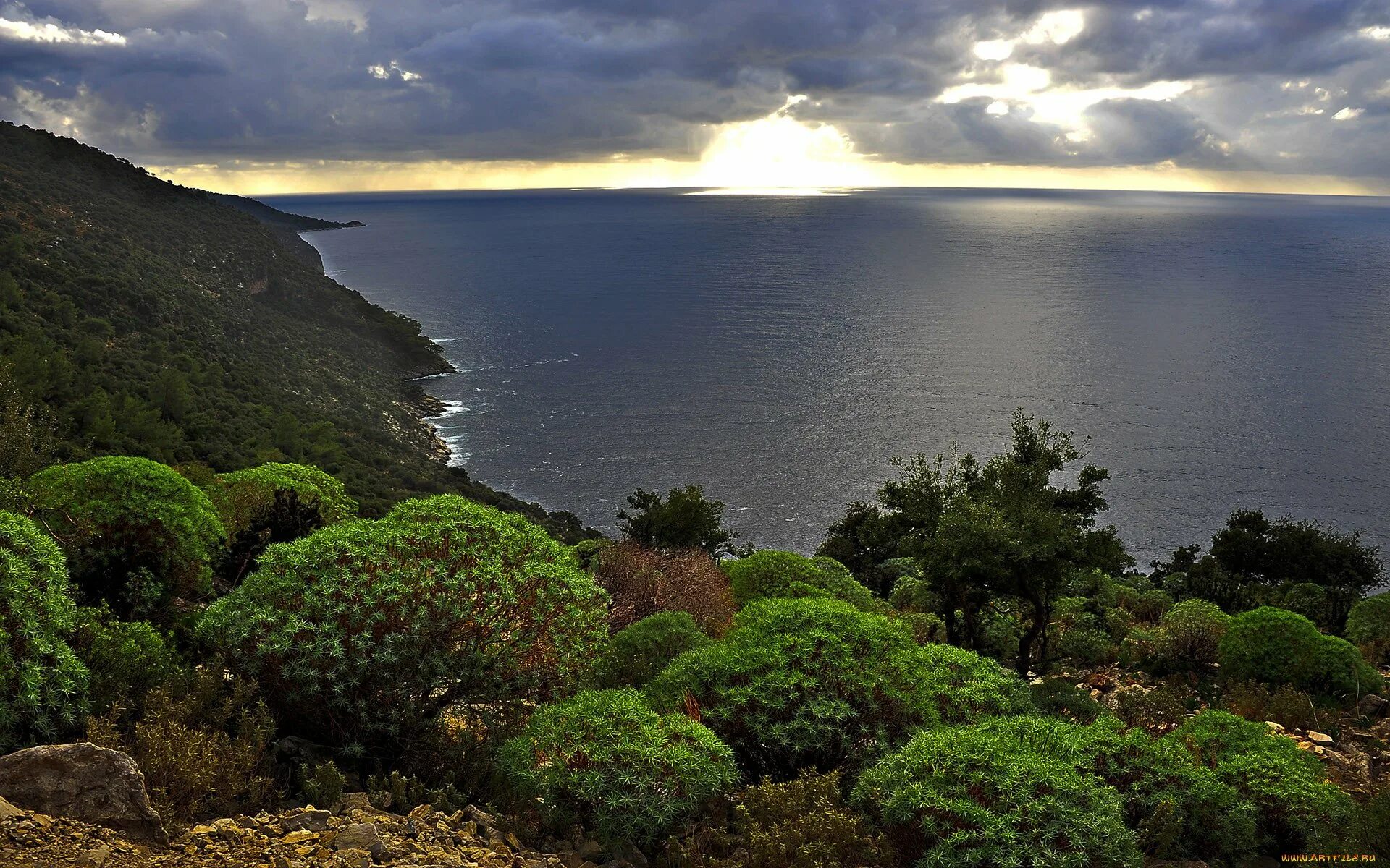 Морской климат характеристика. Уэльс океан. Умеренный морской. Моря умеренной зоны. Умеренно морской климат.