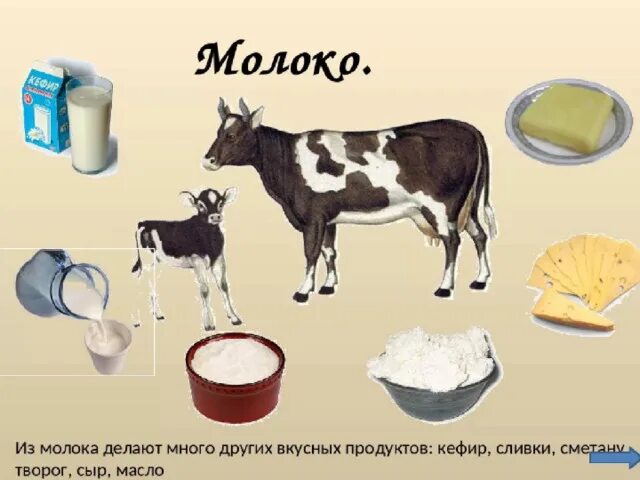 Домашние животные и продукты их. Еда для собак. Еда для домашних животных для детей. Полезные животные для человека домашние. Домашние животные и продукты их.