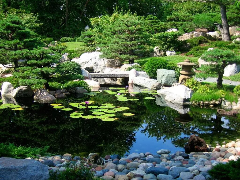 Японский пруд. Дендра парк японский сад. Пруд в саду Япония. Сад Хонбо, Осака, Япония. Японский прудик в саду.
