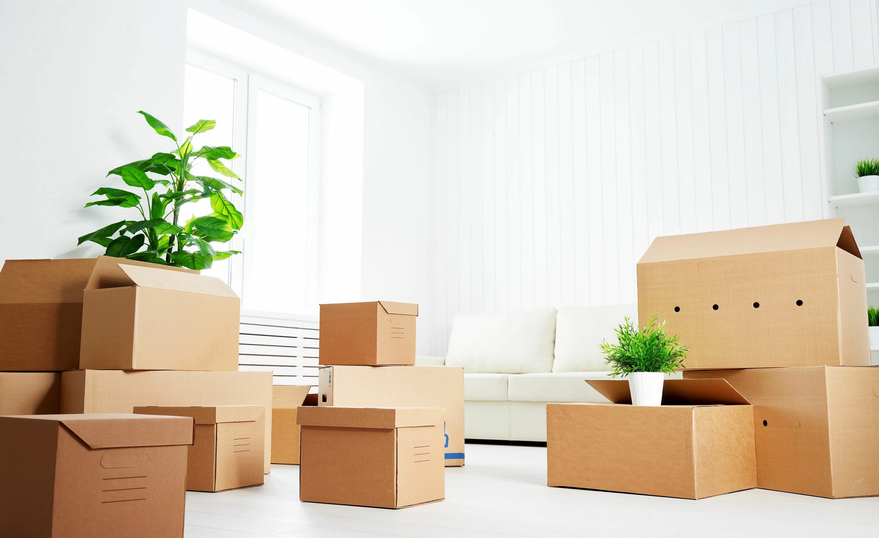 Moving a lot