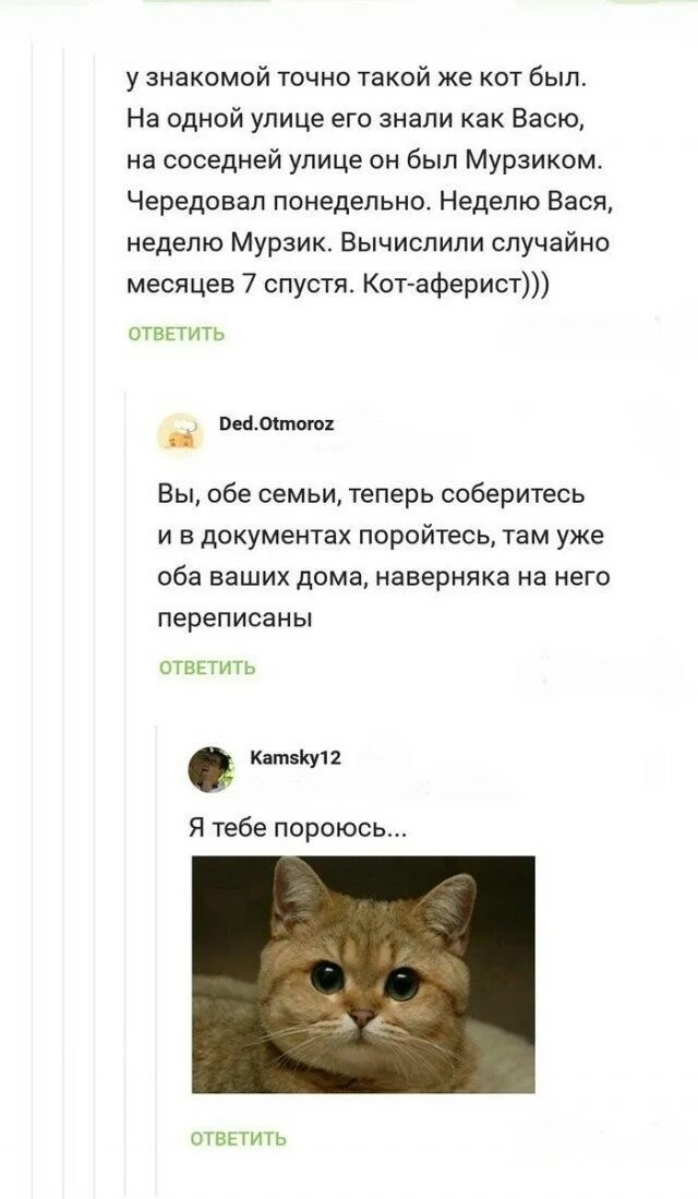 интересный коммент. смешные комментарии из социальных сетей. смешные комментарии из социальных сетей. интересный коммент. смешные комментарии.