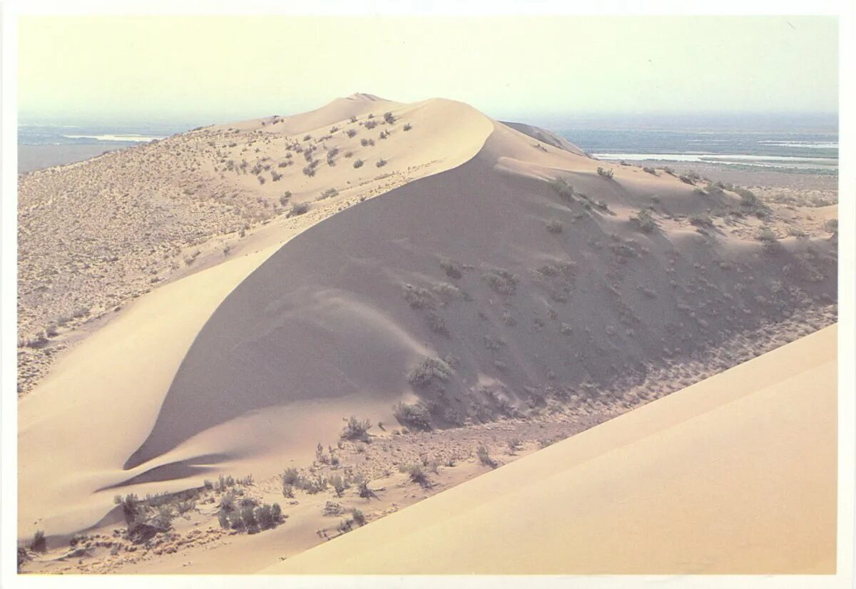 Пустыня бархан сарыкум. Бархан сарыкум. Гатчина песчаные барханы. Рын-пески пустыня астраханская область. Поющий бархан заповедника алтын-эмель.