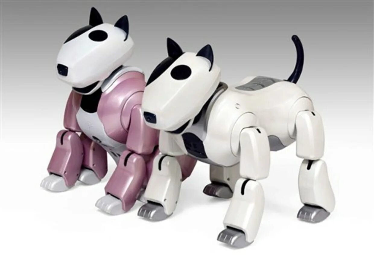 Роботов собак кошек. Aibo 1999. робот-собака. робот питомец. роботы домашние животные.