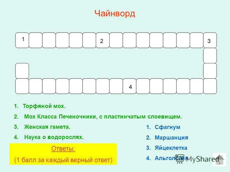 Чайнворд. Чайнворд с ответами. Чайнворд для детей. Пустой чайнворд.