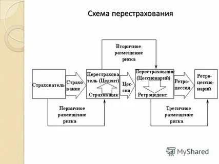 Страховщик передающий риск в перестрахование