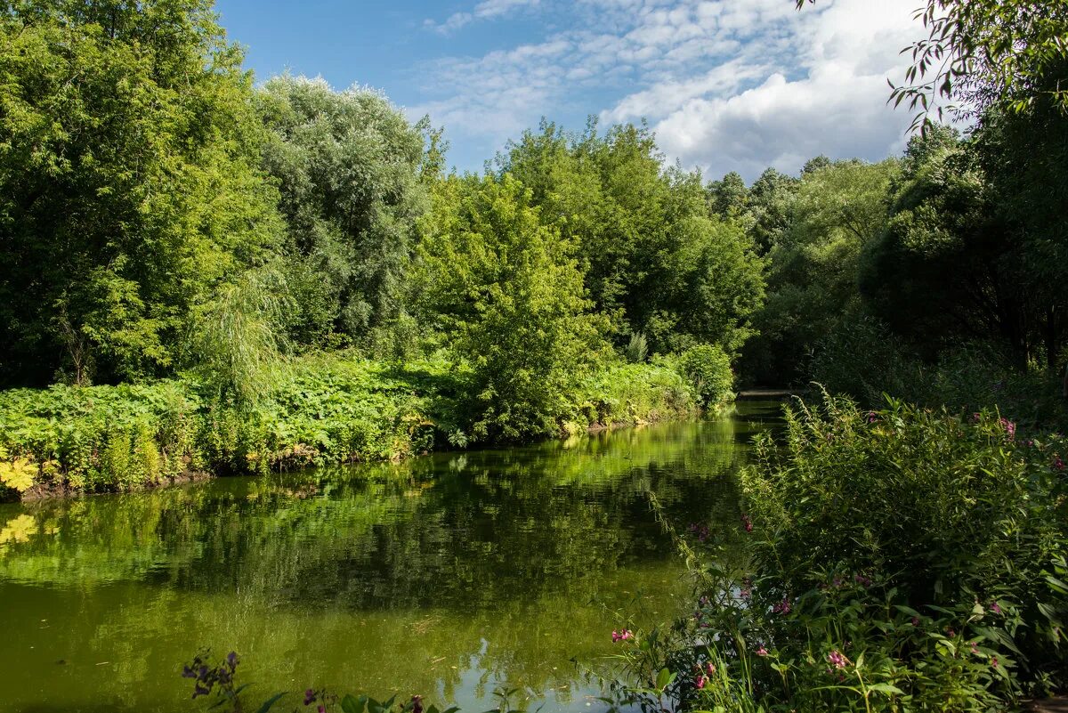 Река химка в химках. Химки москва река. Река химка. Река химки. Исток реки химки.