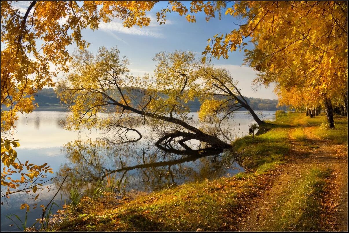 Золотой пейзаж. Осенний пейзаж. Золотая осень. Золотая осень пейзаж. Красивые пейзажи золотой осени.