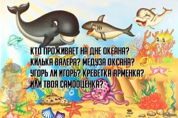 Кто проживает на дне океана спанч боб. Кто проживает на дне океана. Кто проживает на дне океана самооценка. Кто проживает на дне океана картинка. Стих кто проживает на дне океана.