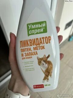 От кошачьих меток