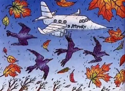 Опустел скворечник улетели птицы
