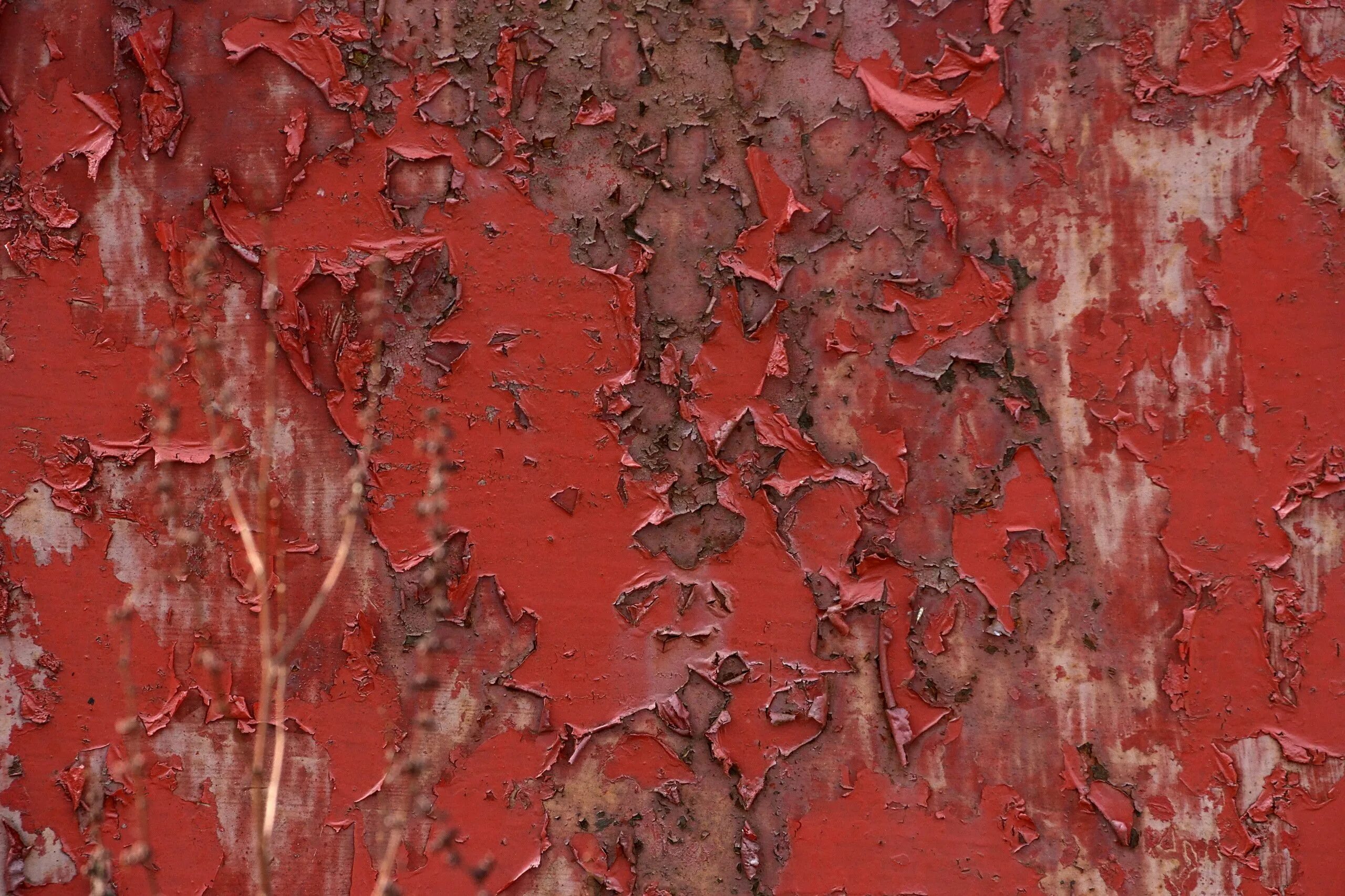 Красноватая краска из одноименного дерева 6 букв. Старая краска. Облупившаяся краска на стене. Фактура металла. Ободранная краска.