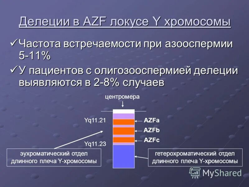 определение делеций azf-локуса y-хромосомы. Azf делеции. микроделеция azf-локуса y-хромосомы. делеция y хромосомы azf. делеция y хромосомы azf.