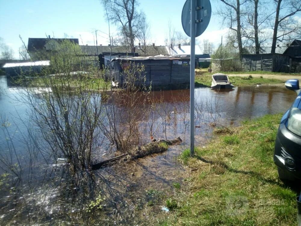 Уровень воды в вологде сегодня. Устье (Усть-кубинский район). Устье Вологодская область. Авария в Устье Кубенском. Кубенское залило водой.