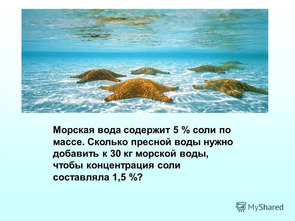 Масса соленой воды. Морская соль содержит в воде. Содержание соли в морской воде. Концентрация морской воды. Концентрация соленой воды в море.