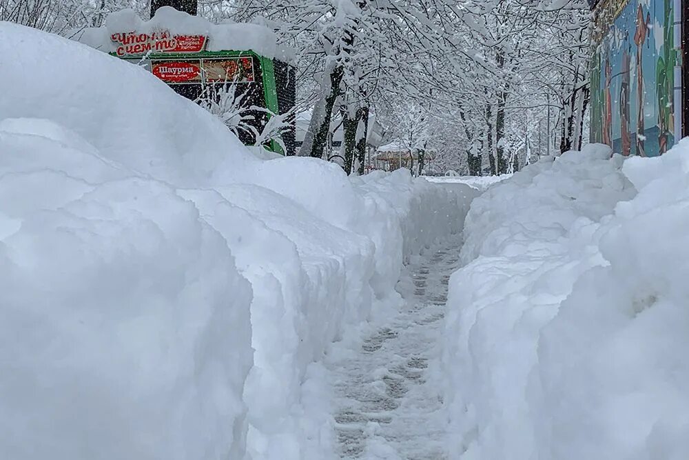 Аномальный снегопад. Краснодарский край снегопад 2022. В краснодаре выпало снега. Краснодарский край снегопад 2022. Краснодар в снегу сегодня фото.