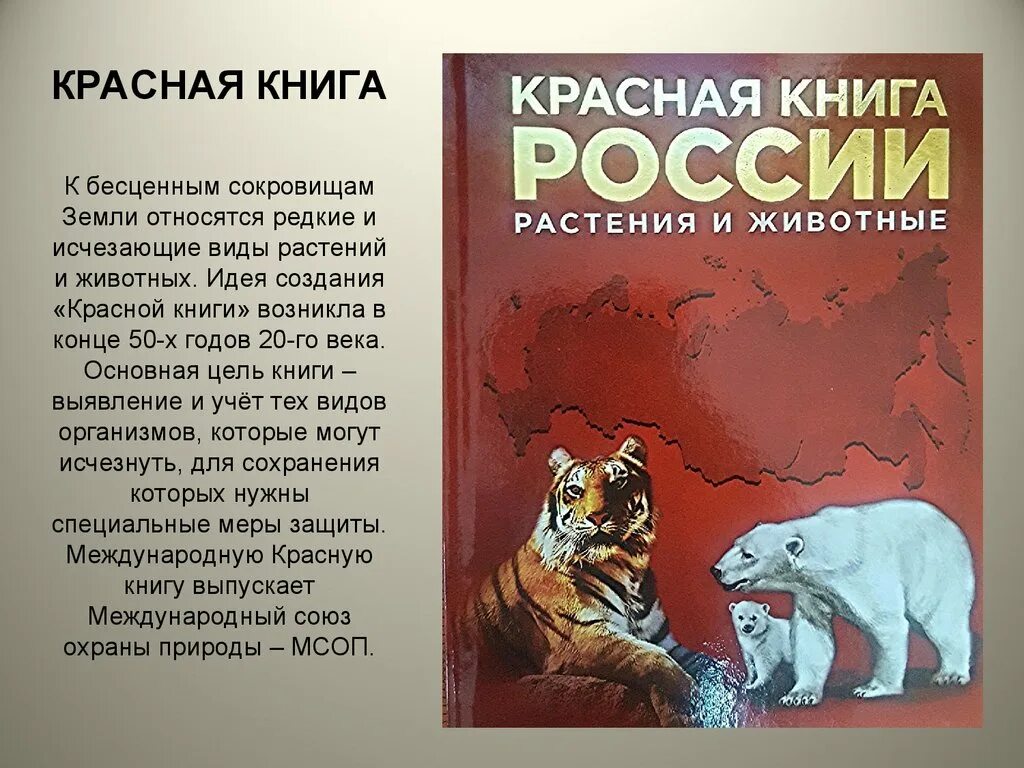 Проект 4 класс красная книга нашего края. Красная книга. Красная книга книга. Презентация по красной книге. Красная книга исчезающие виды.