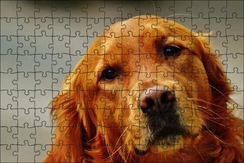 Your golden