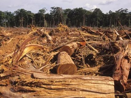 Damaged lands
