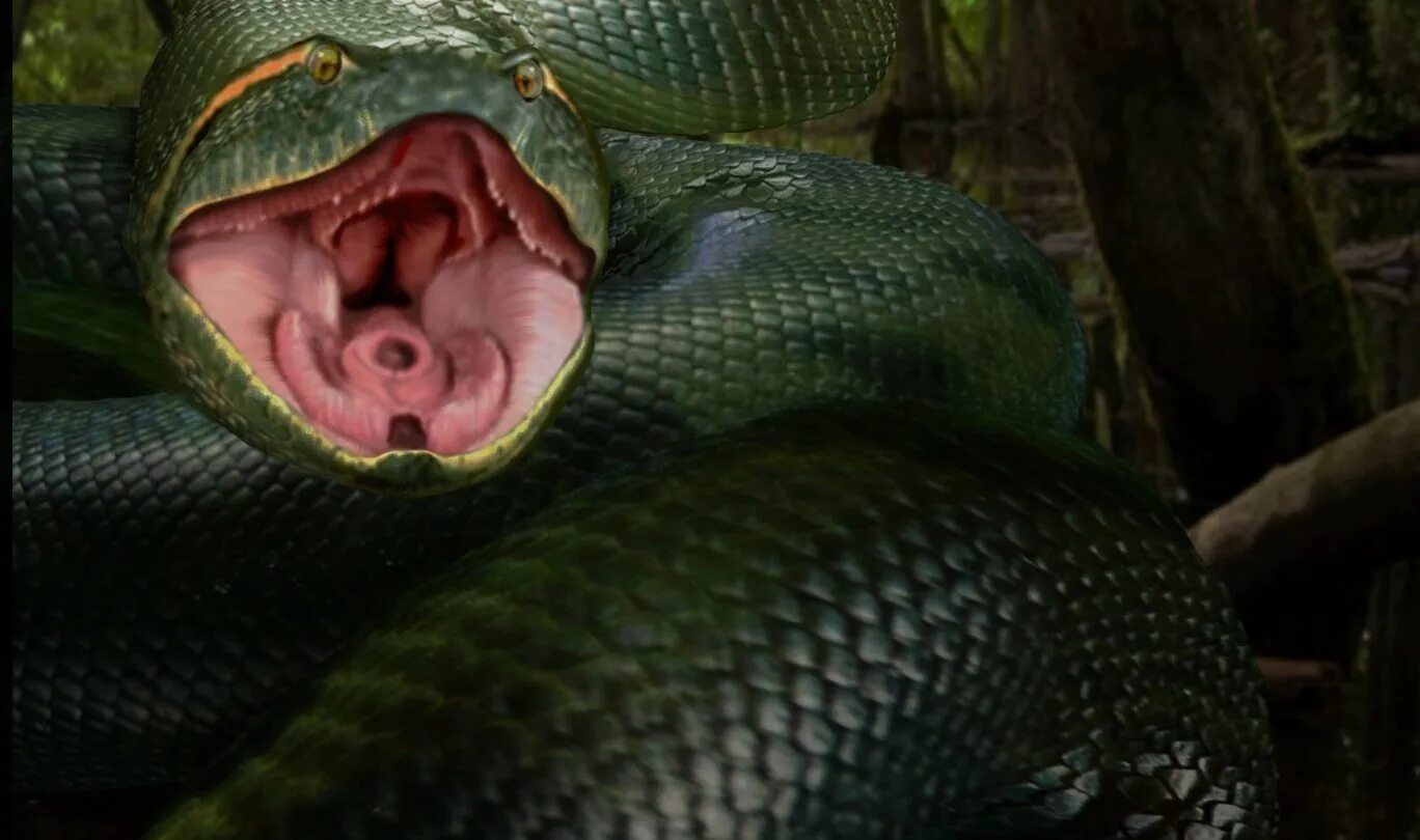 Змеи Анаконда. Анаконда Королева змей. Змея зеленая Анаконда. Про змеиный