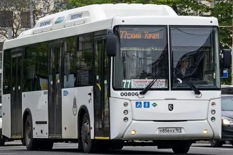 Автобус спб ростов на дону
