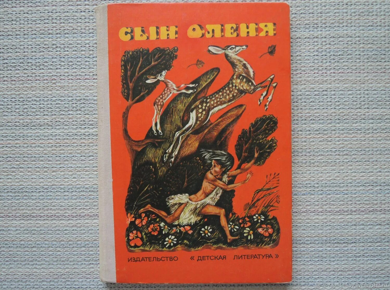 Сын оленя. Абхазские народные сказки детская литература. Сын оленя. Абхазские народные сказки книга.