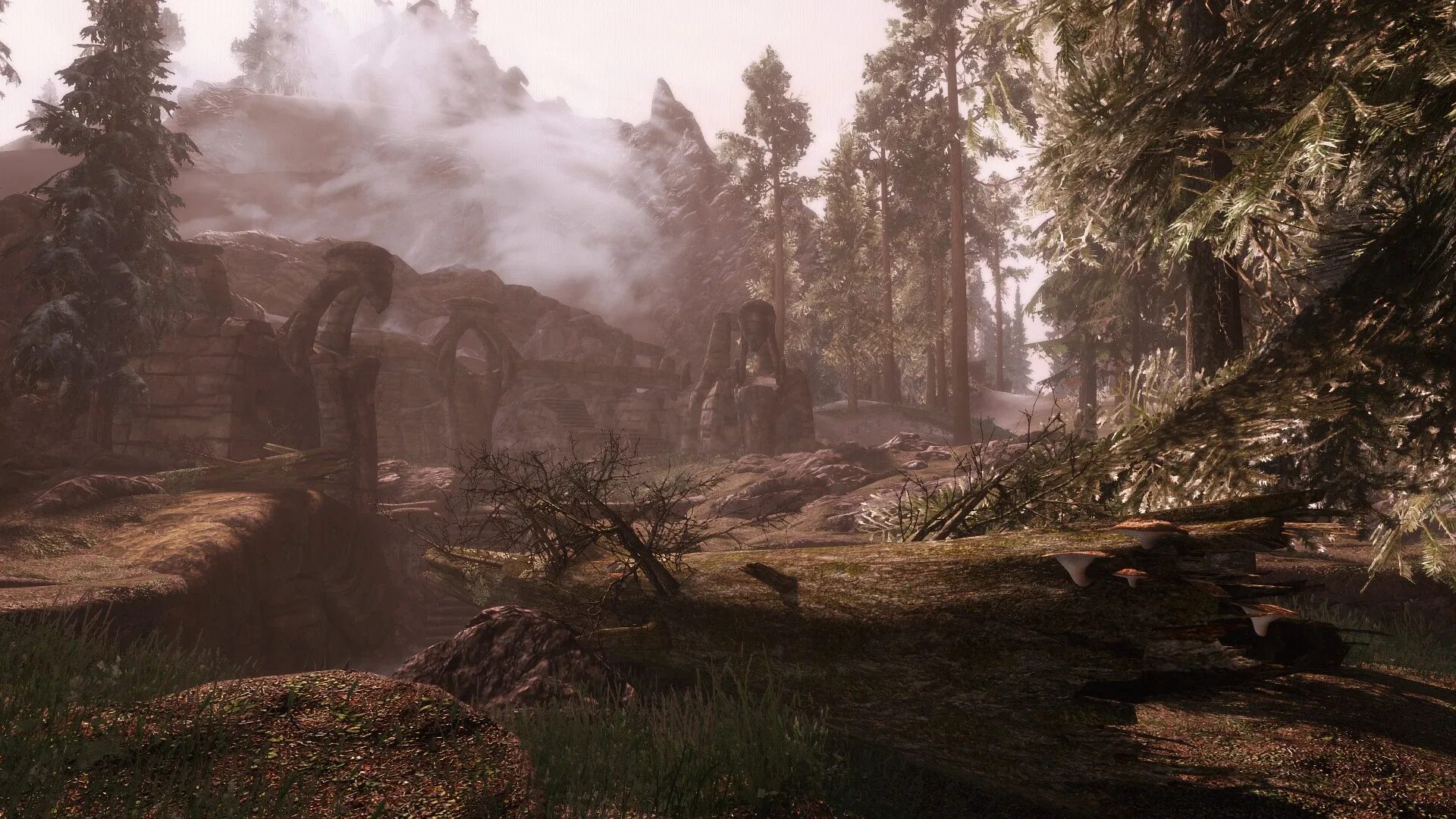 Скайрим руины. Скайрим нордские руины. Скайрим руины. Tes руины айлейдов. Скайрим гробницы.