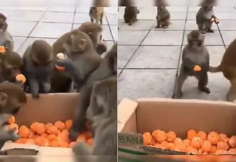 Видео 3 млн просмотров