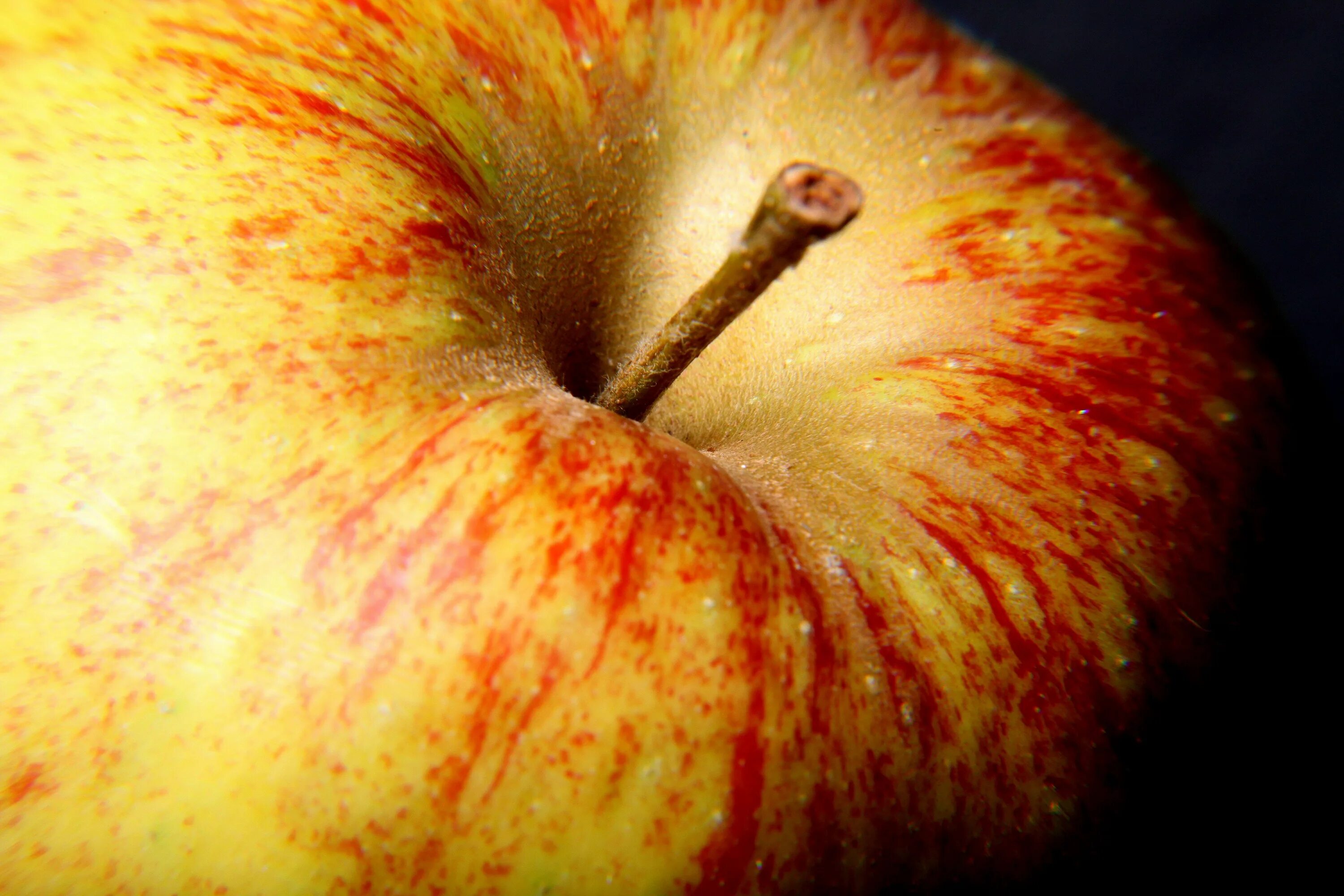 Яблоко. Яблоко макро. Яблоко аппетитное. Яблоко вблизи. Замечены яблоки