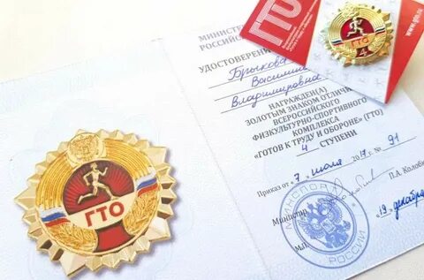 Золотой значок 6 ступень