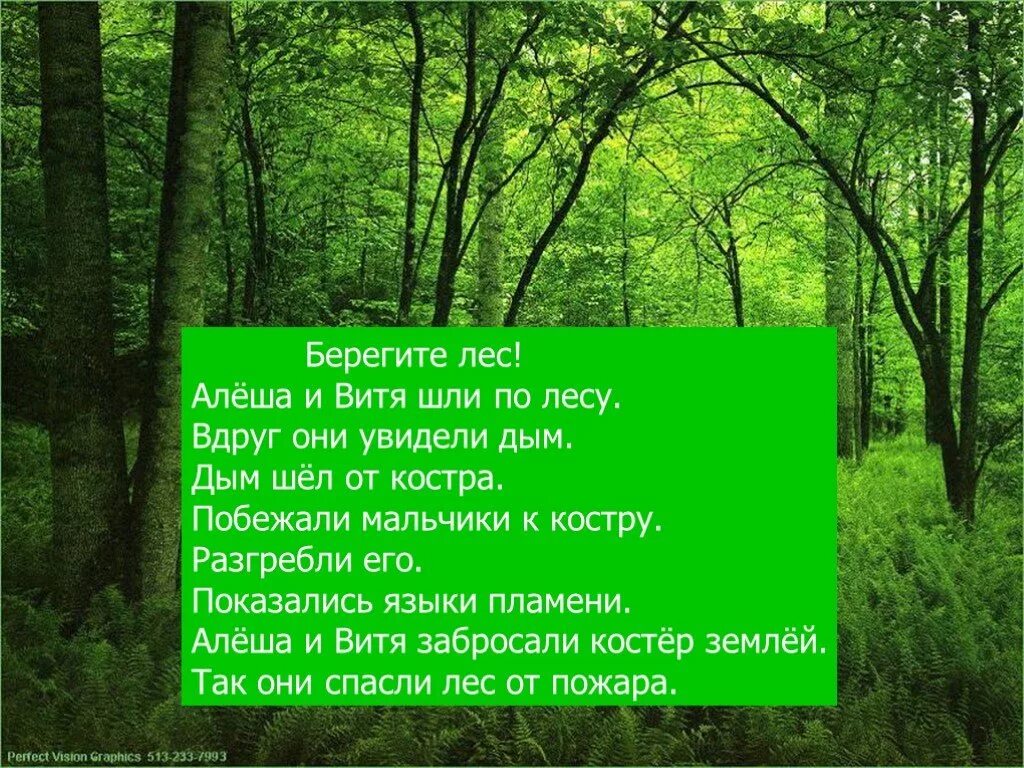 Песня берегите лес. Презентация на тему берегите лес. Стихотворение берегите лес. Презентация на тему по русскому берегите лес. Стих на тему берегите лес.