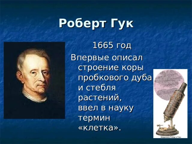 Гук ввел термин клетка. Гук ввел термин клетка