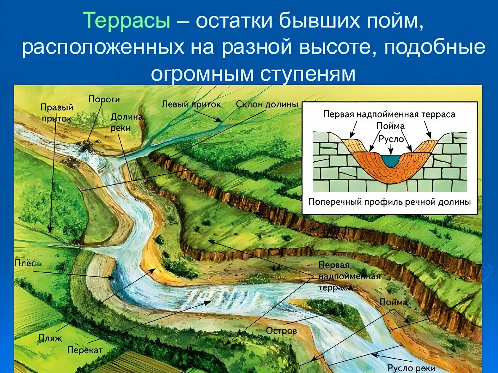 Ширина русла рек. Русло Пойма Долина. Речная Долина русло Пойма надпойменные. Русло Долина терраса Пойма. Русло Пойма терраса Речная Долина.