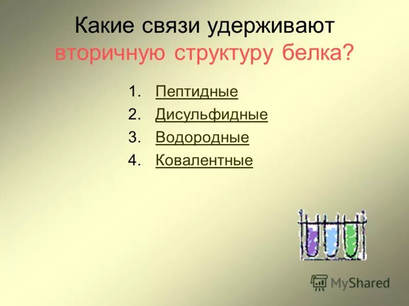 Тест белки 10 класс химия. Тесты белки 10 класс химия.