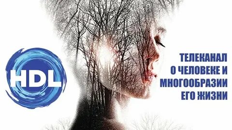 Программа канала hdl