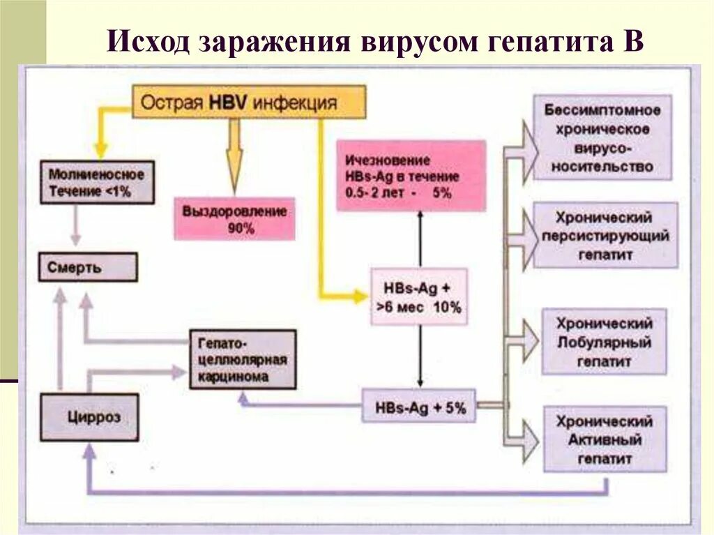 Патогенез вирусного гепатита в схема. Вирус гепатита б патогенез. Вирус гепатита с патогенез схема. Патогенез вирусных гепатитов кратко. Гепатит а патогенез