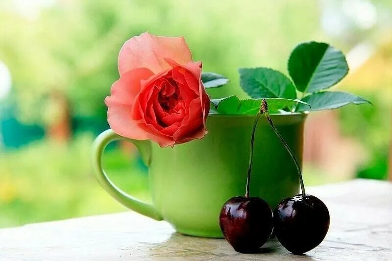 Сегодня удачный день. Доброе утро счастье. Доброе утро радость. Цветы для хорошего человека с добрым утром. Доброе утро хороший человечек отличного тебе дня.