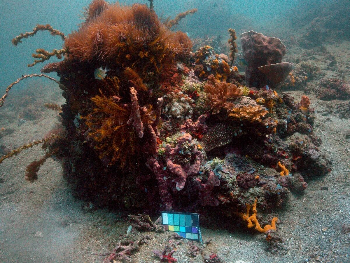NOAA Ocean Explorer: Aegean and Black Sea 2006