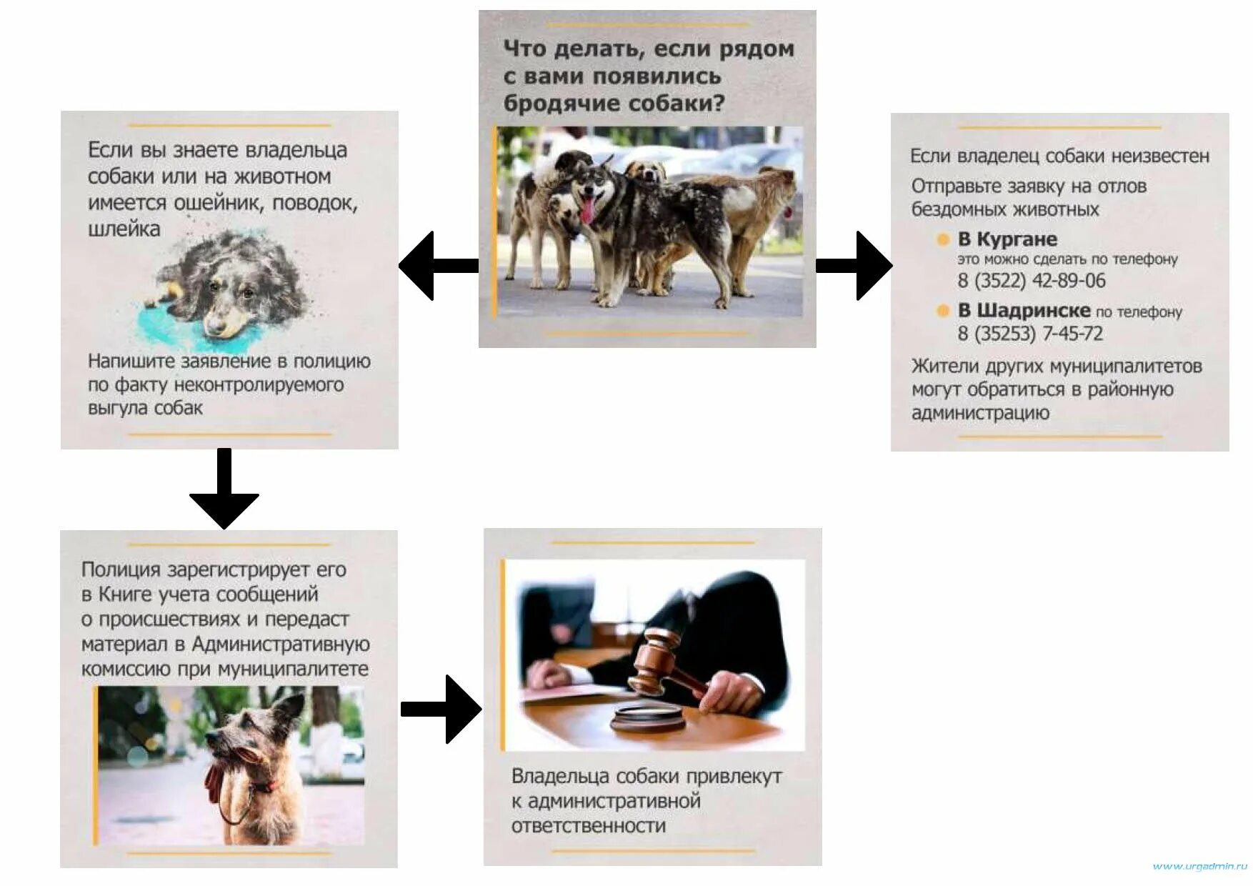 что делать если рядом собака. что делать если встретил собаку. как вести себя при нападении собаки. памятка при нападении бродячих собак для детей. картинки нельзя дразнить собак.