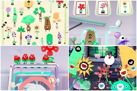 Toca plants