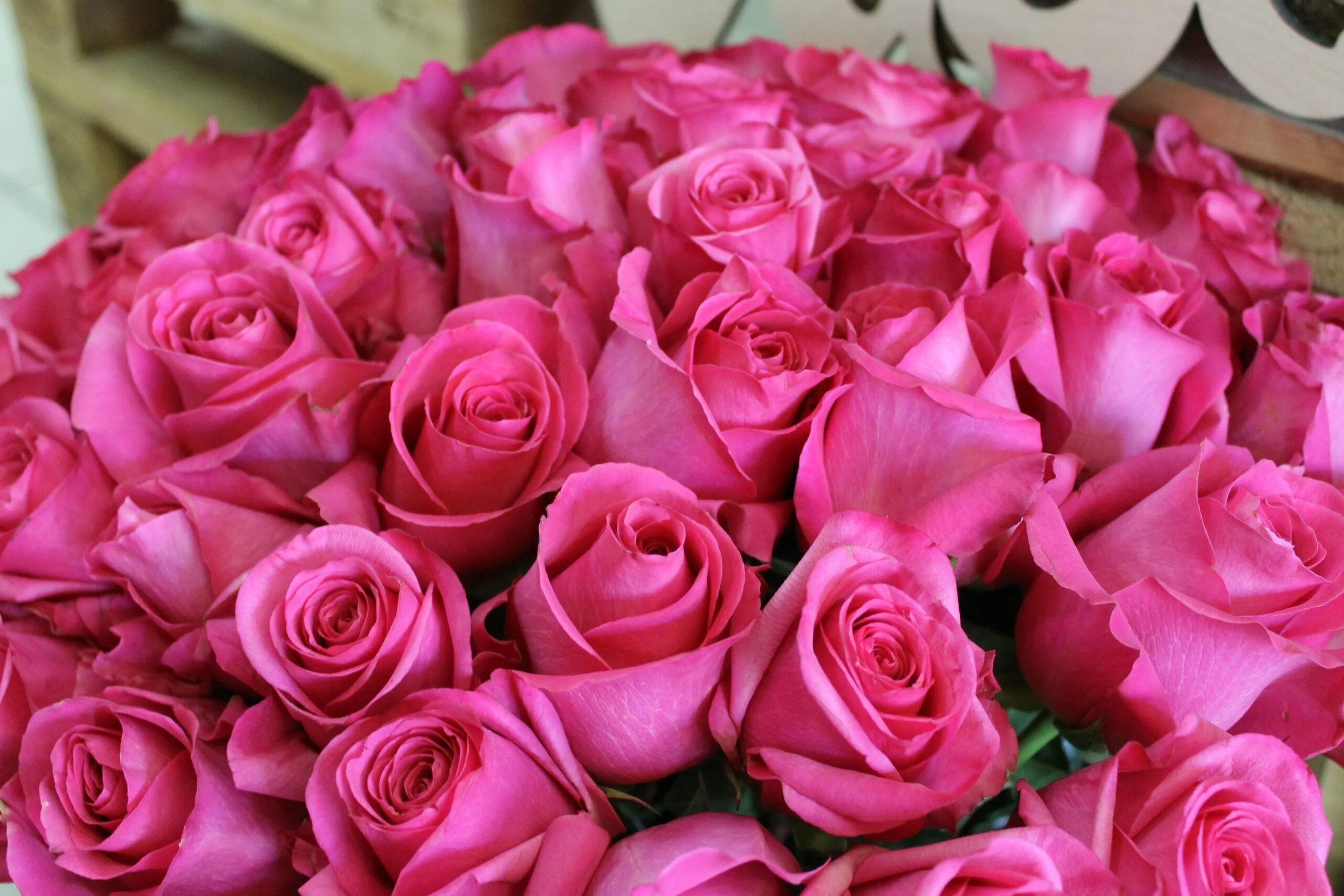 розовые розы год выпуска. роза пинк стар. гочп роза розовая. розовые розы 101шт. роза кустовая джозефина.