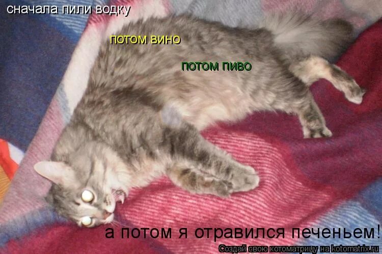 Отучить пить ночью