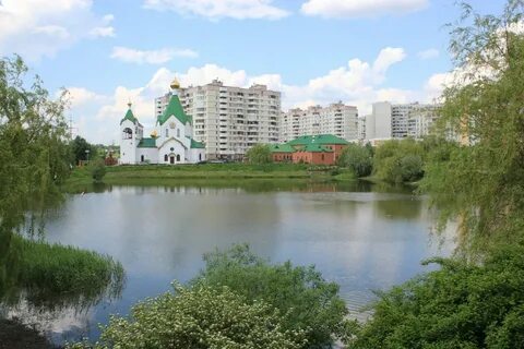Новокосино кучина