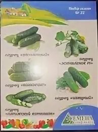 5 семян