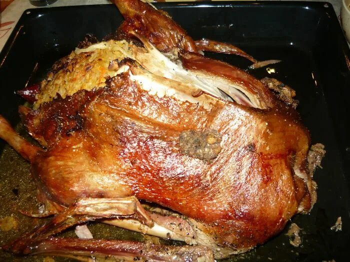 Утка фаршированная яблоками. Гусь с капустой. Гусь фаршированный капустой. Гусь с капустой. Запеченная гусь с капустой.