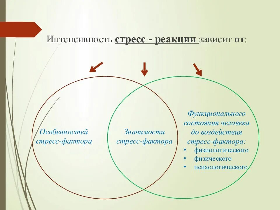 Зависит от общего состояния. Стресс факторы и стресс реакции. интенсивность стресс-реакции зависит. реакции на стресс в психологии. факторы стресса.
