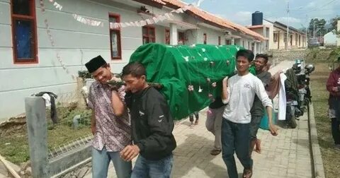 Vina garut